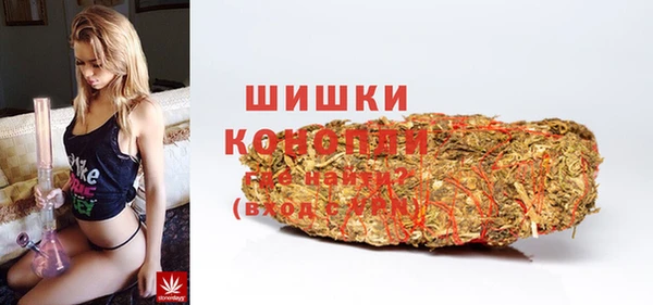 винт Бородино
